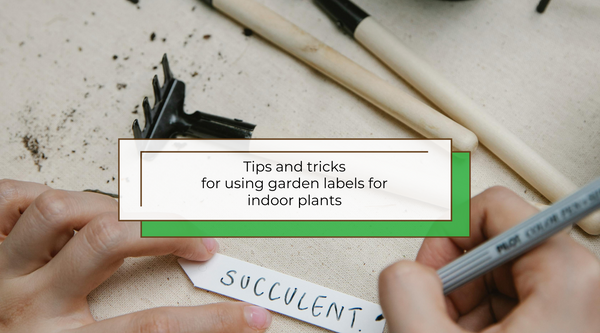 Label your plants: Tricks and tips for using garden labels or plant markers for your indoor garden