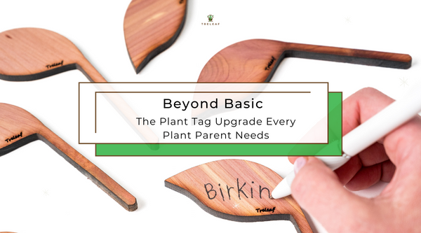 Beyond Basic: The Plant Tag Upgrade Every Plant Parent Needs