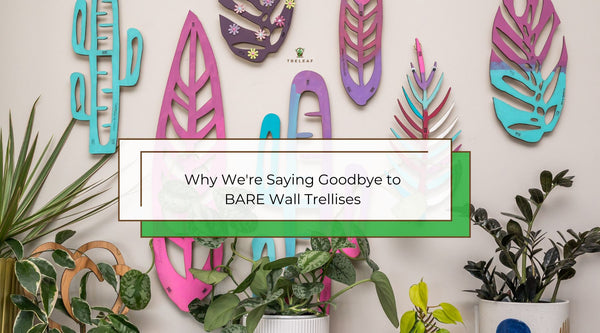 Why we are saying goodbye to BARE wall trellises