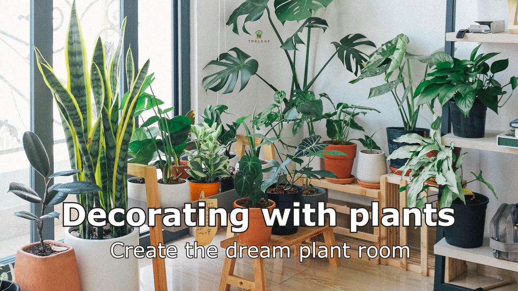 Decorating with plants  Create the dream plant room