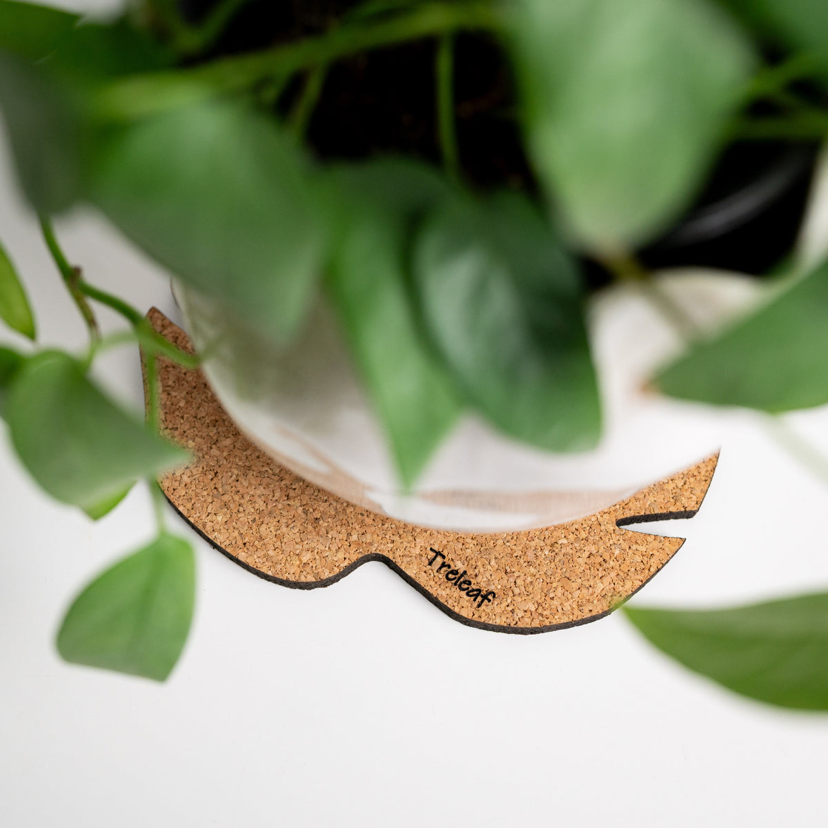 leaf shaped cork coaster