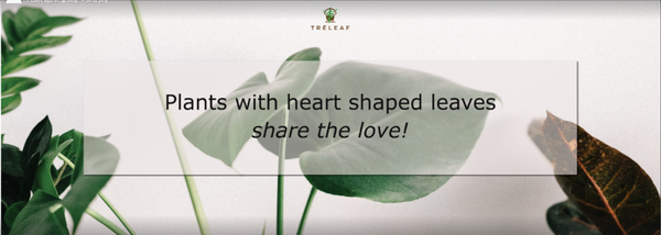 Plants with Heart Shaped Leaves: Share the love