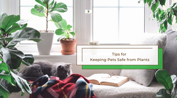 tips for keeping pets safe from plants
