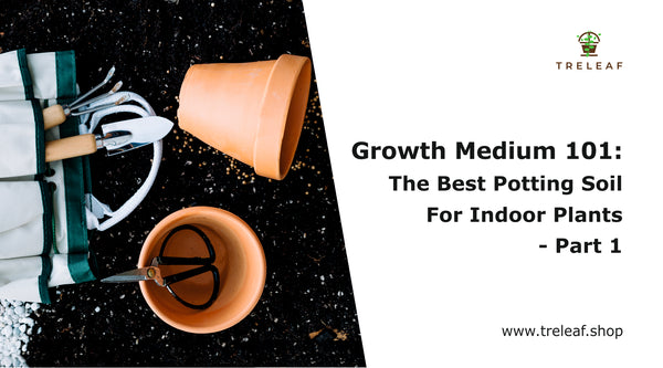 Growth Medium 101: The Best Potting Soil For Indoor Plants - Part 1