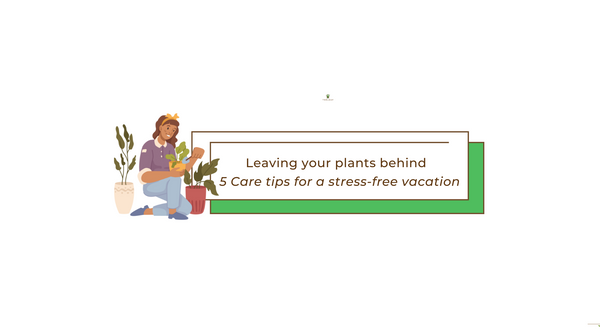 Leaving your plants behind - 5 Tips for a stress-free vacation