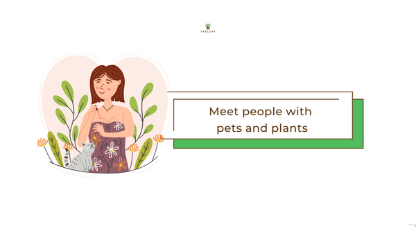 Meet people with pets and plants