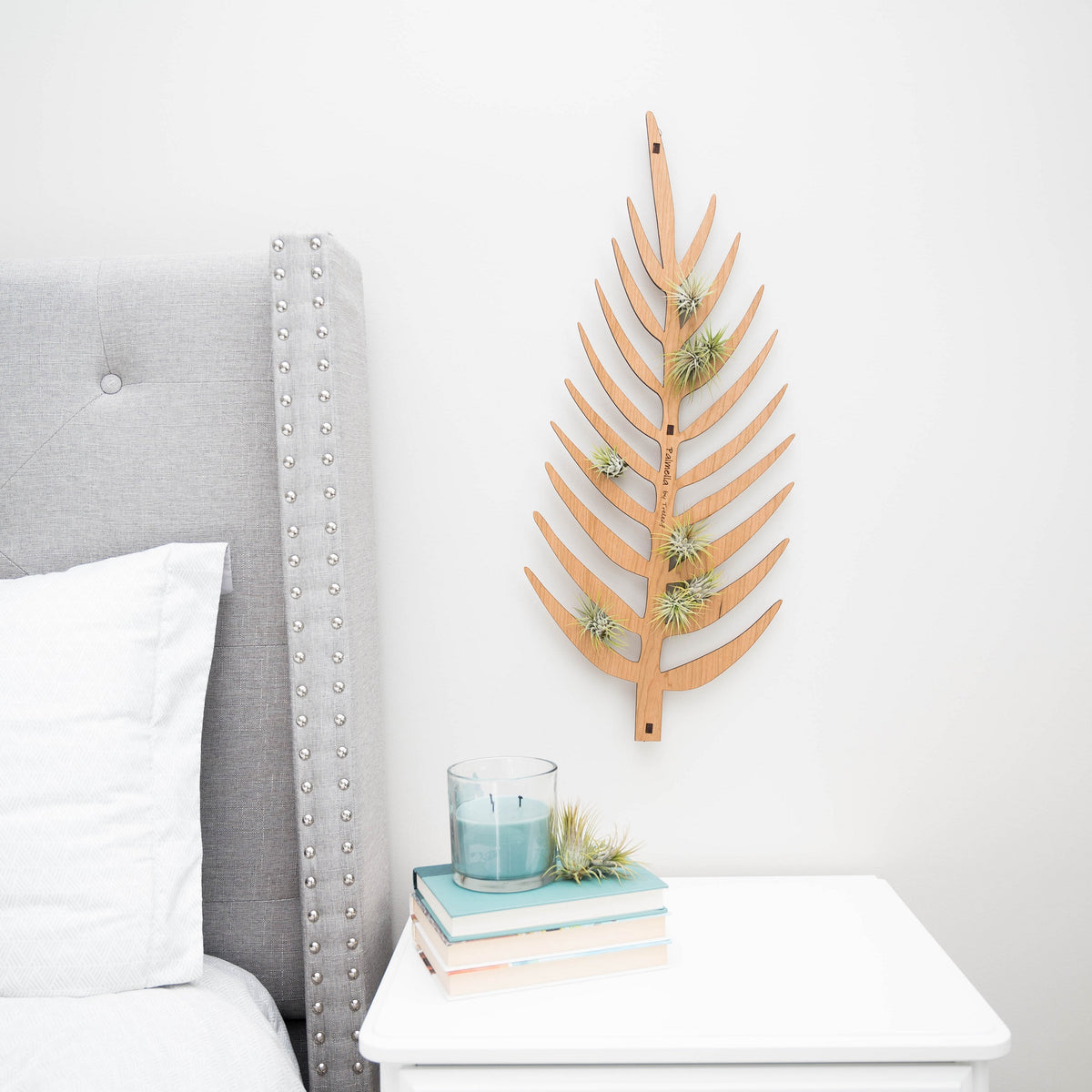 Wooden leaf shaped support with air plants