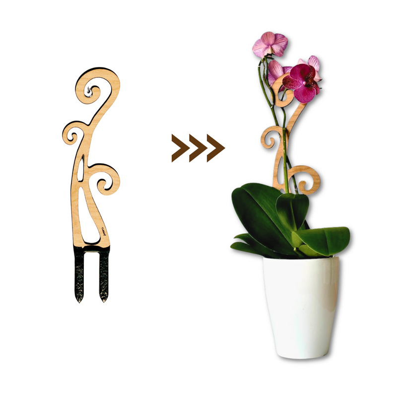 indoor orchid plant stand Plant trellis designed for Orchids