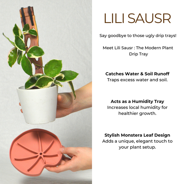 Lili Sausr - Lilly pad shaped Spill tray - Drip tray for houseplants - Humidity tray