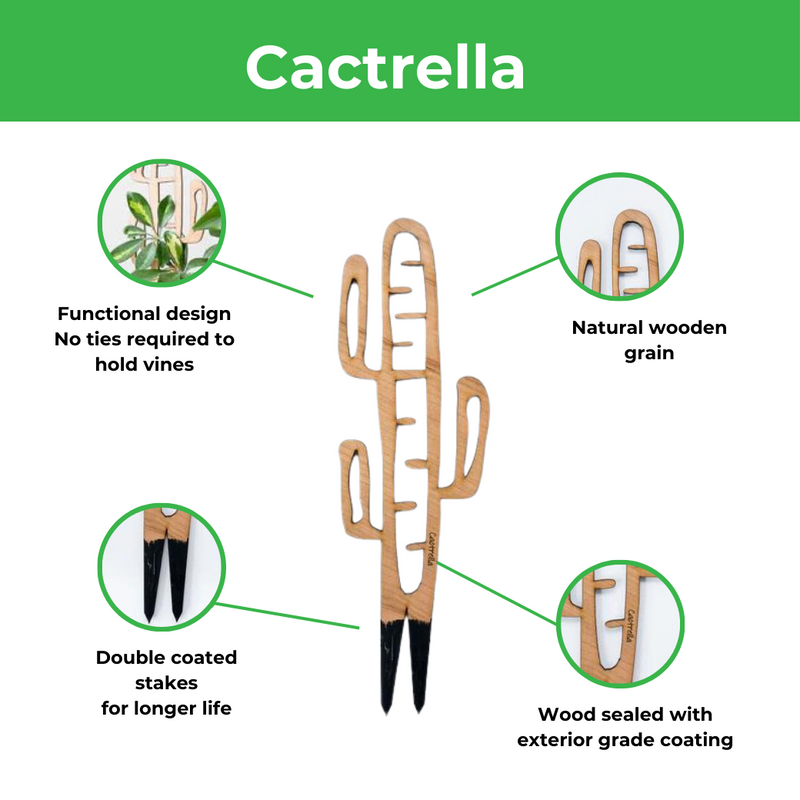 cactus shaped trellis for houseplants