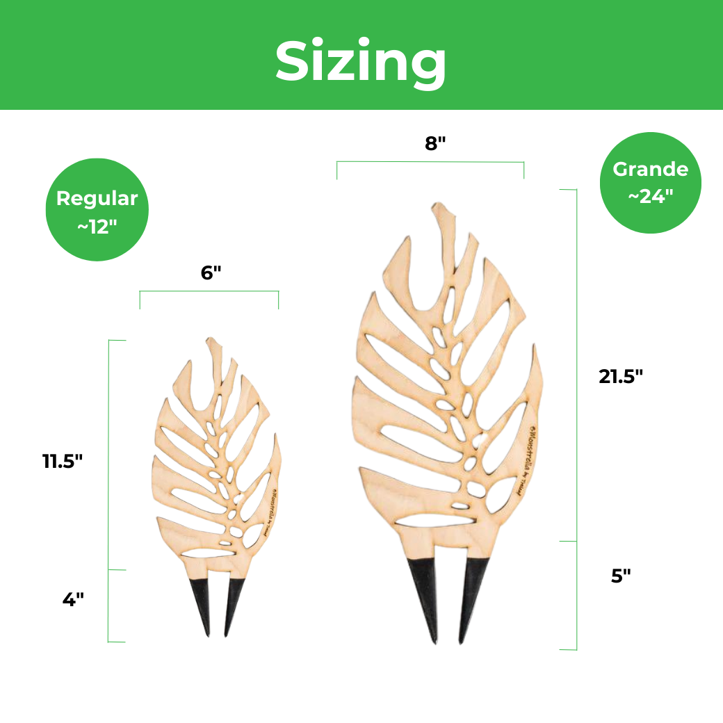 easy to adjust plant trellis