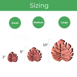 Sausr size chart in terracotta