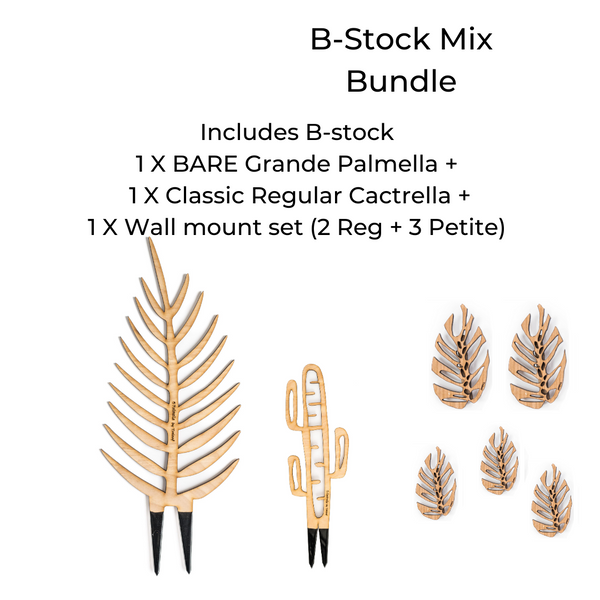 B-stock Mix Bundle - 1 X Bare Grande Palmella + 1 X Classic Regular Cactrella + wall mount set