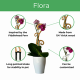 Fiddlehead fern plant support for orchids, durable, eco-friendly, customizable