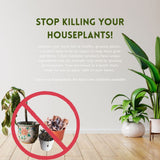Urban Gardener Complete Houseplant Care System | Core Trio Plant Care Kit - Say No To Bugs, Super Growth Elixir, Leaf Radiance