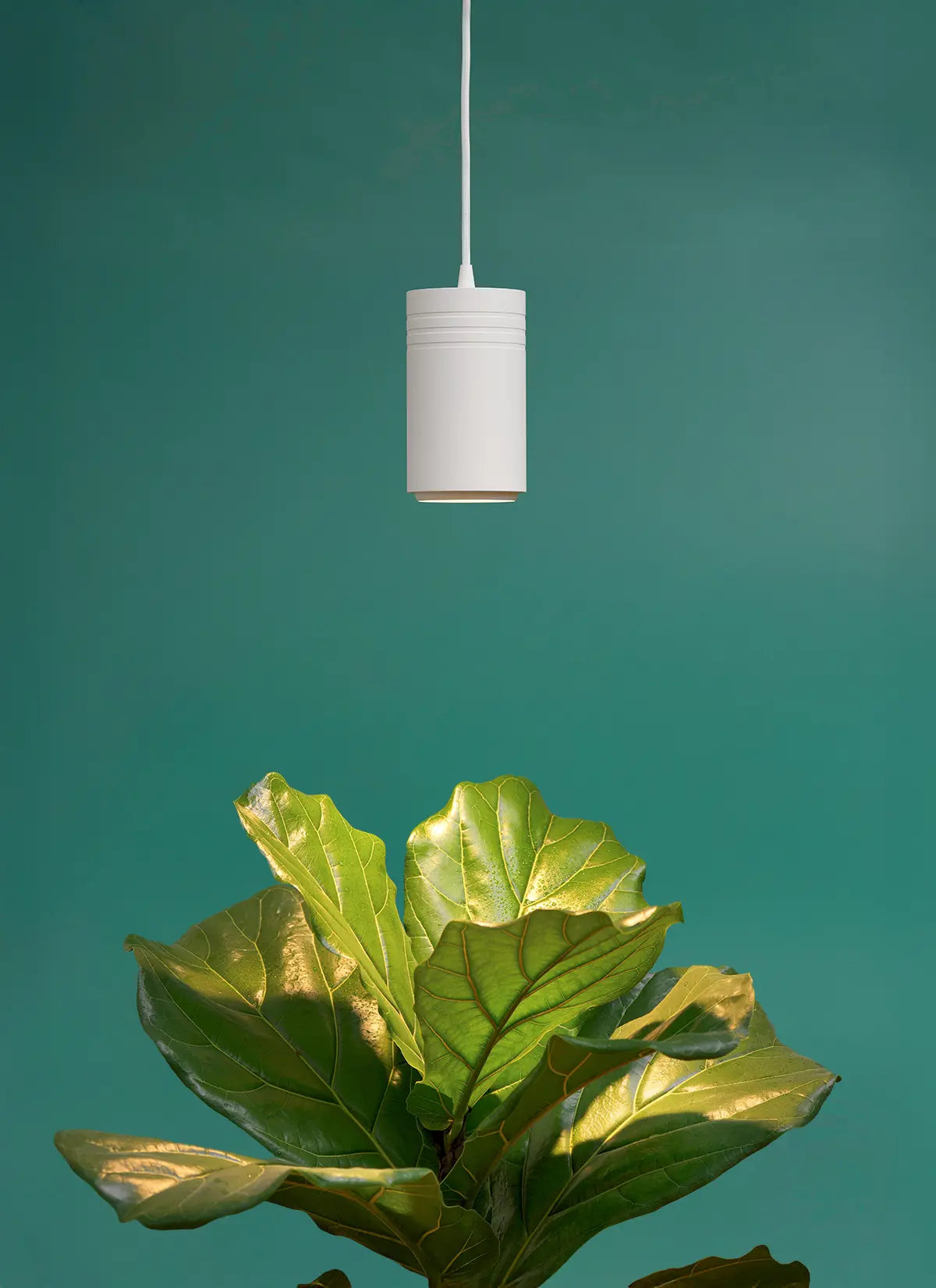 Aspect™ Gen 2 LED Growlight