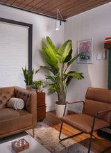 Aspect™ Gen 2 LED Growlight
