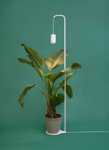 Aspect™ Grow Light with Stello™ Pendant Stand Set