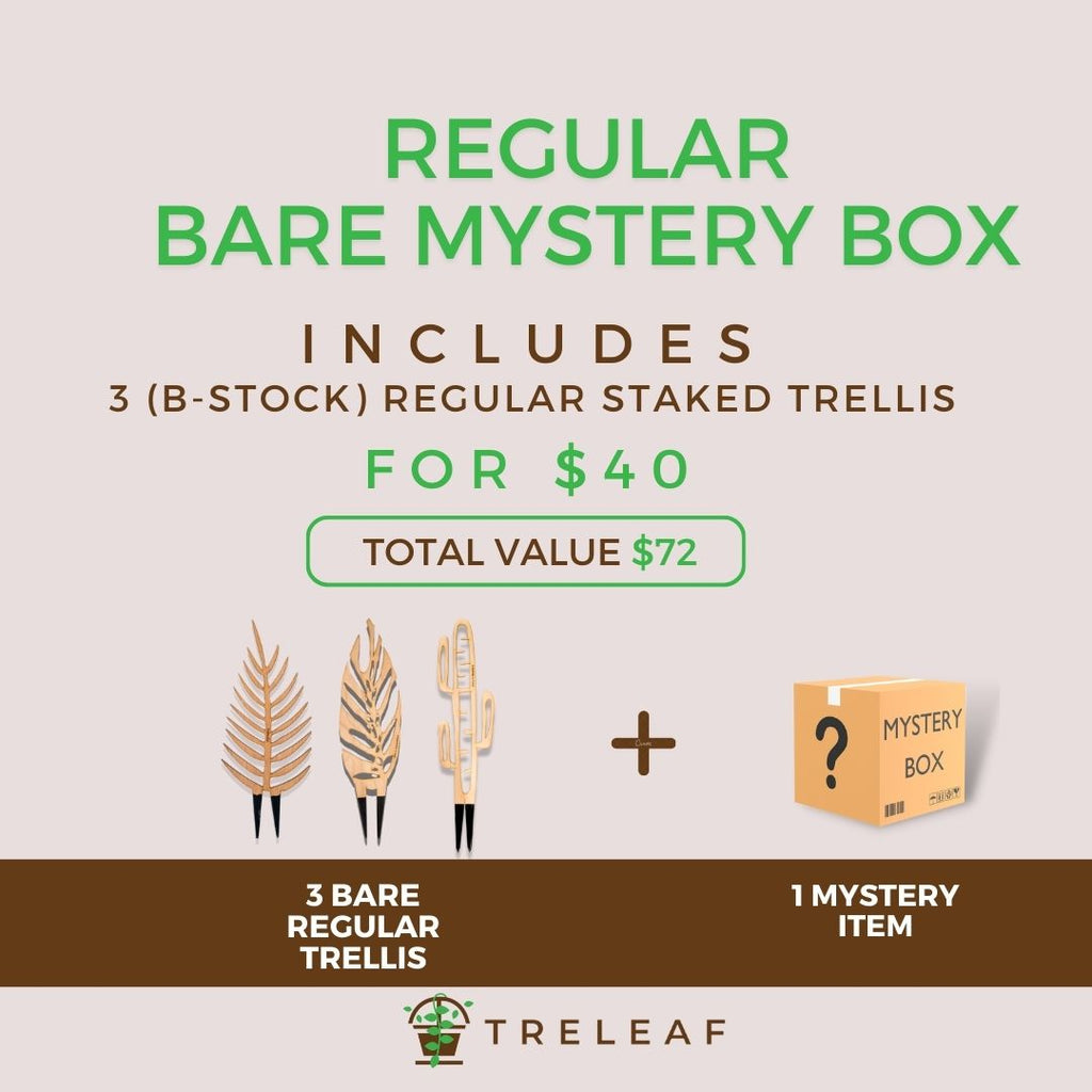 B Stock BARE Regular Mystery Box