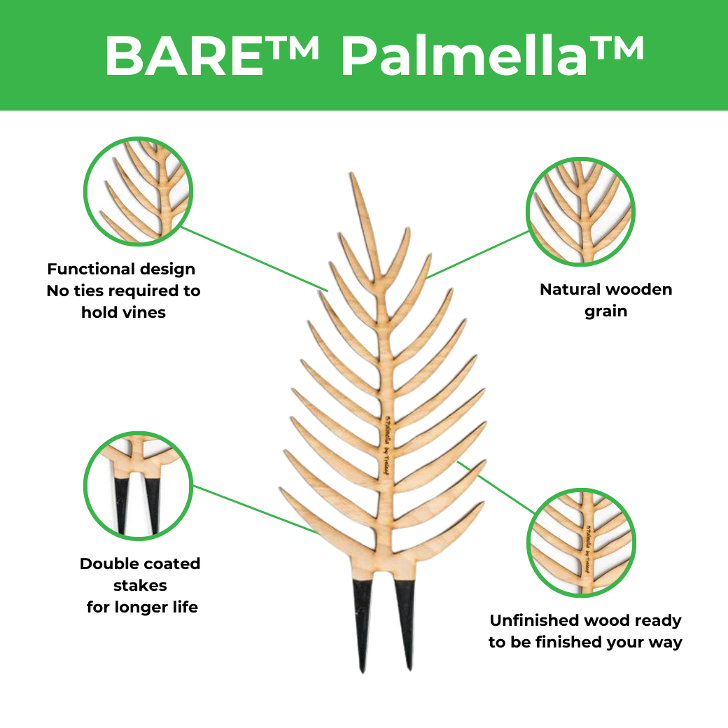 BARE Palmella customizable trellis highlighting features like functional design, double coated stakes, customizability and natural wood built. 