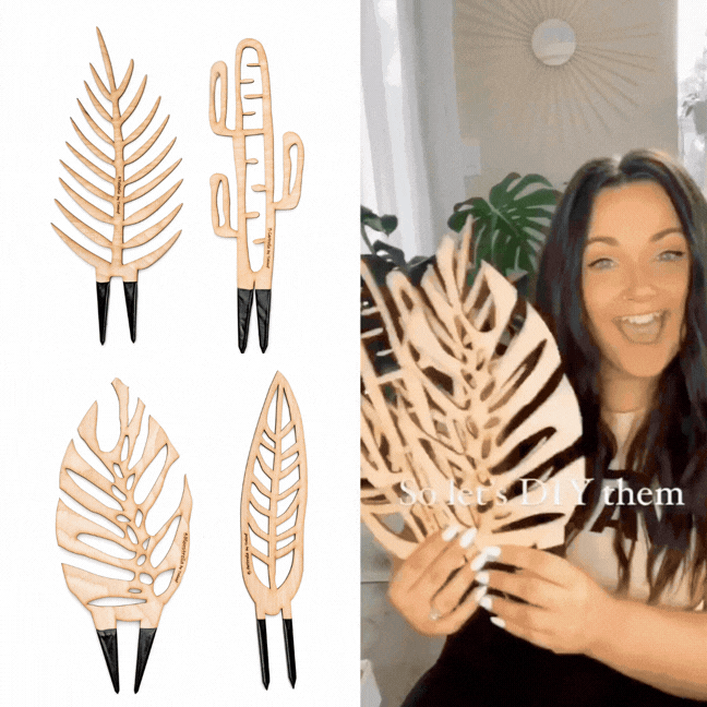 BARE Regular Bundle Customizable wooden plant trellis 5 designs 12" tall