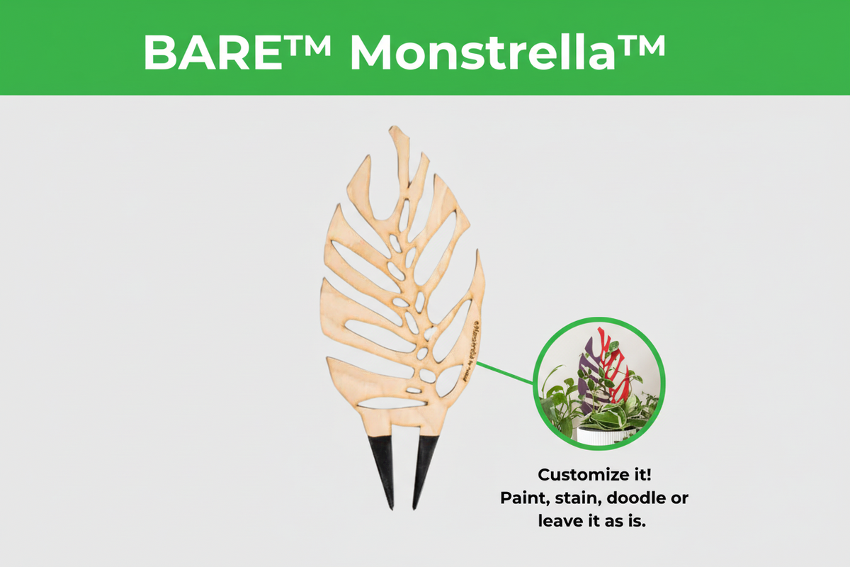 bare monstrella monstera leaf shaped trellis