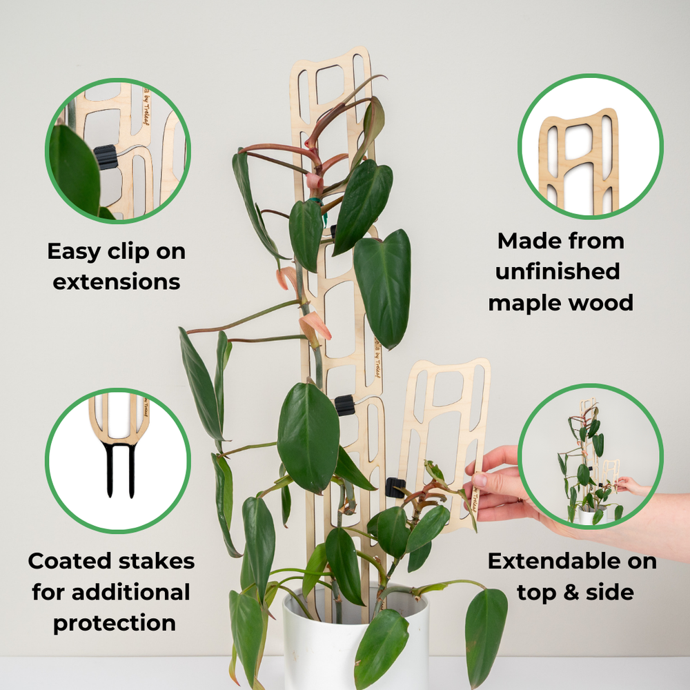 treleaf plant trellis Bella™