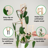 bella modular extendable trellis with potted housePlant with features highlighted on a light gray background