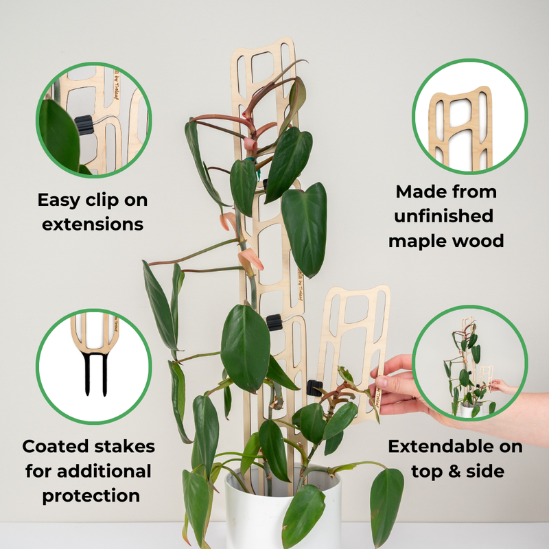 house plant support stakes Bella™