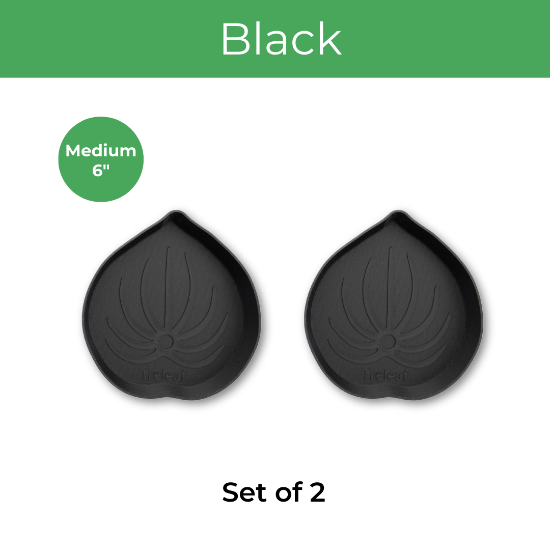 Set of two black colored mia houseplant saucer on a white background with 