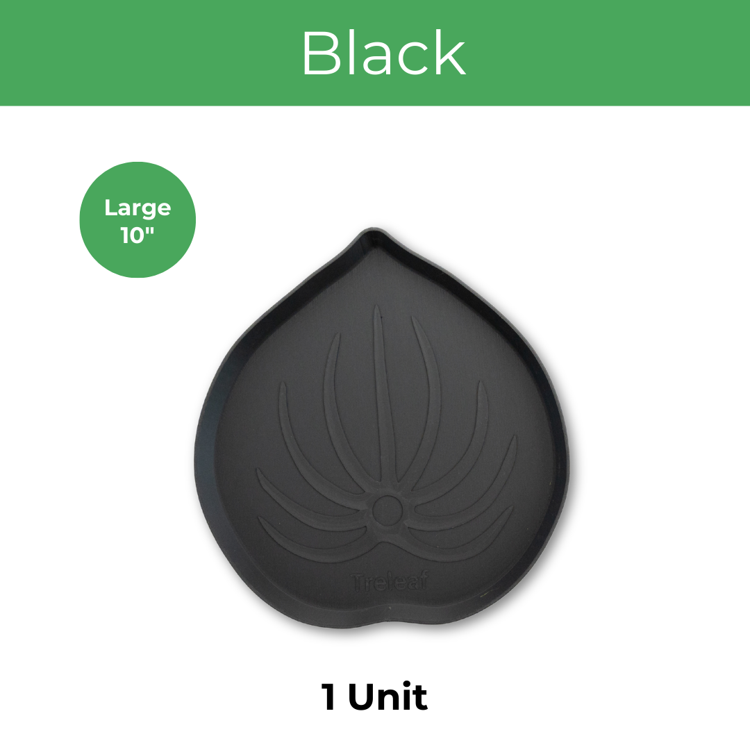 Black large mia saucer inspired by leaf design on a white background