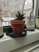 Potted houseplants with black mia plant saucer on a windowsill with a view of a patio outside.