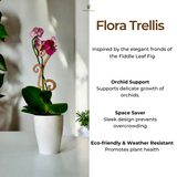 designer plant support for orchids 