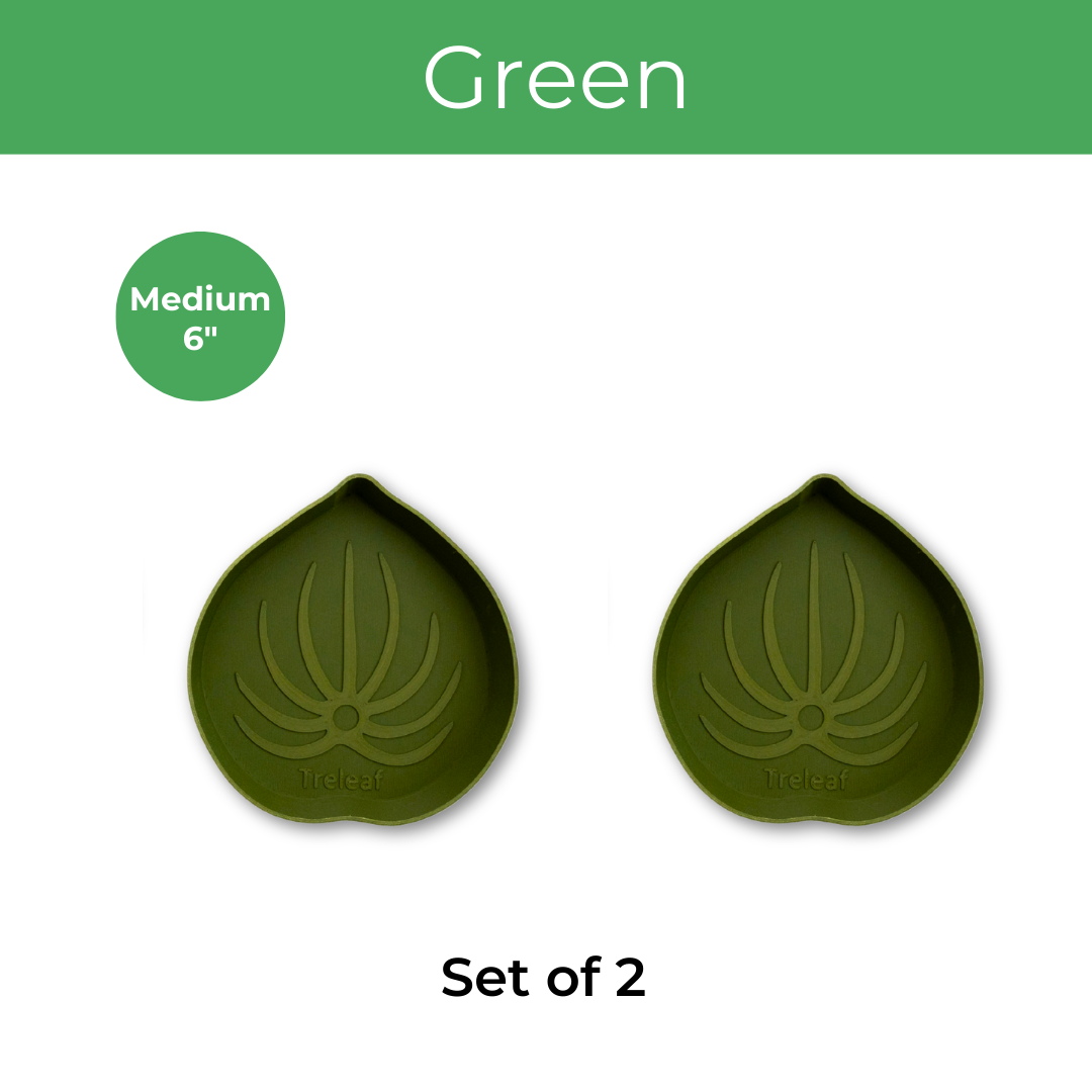 Two green leaf-shaped mia saucer for houseplant on a white background, labeled 'Set of 2' and Medium 6 inch size