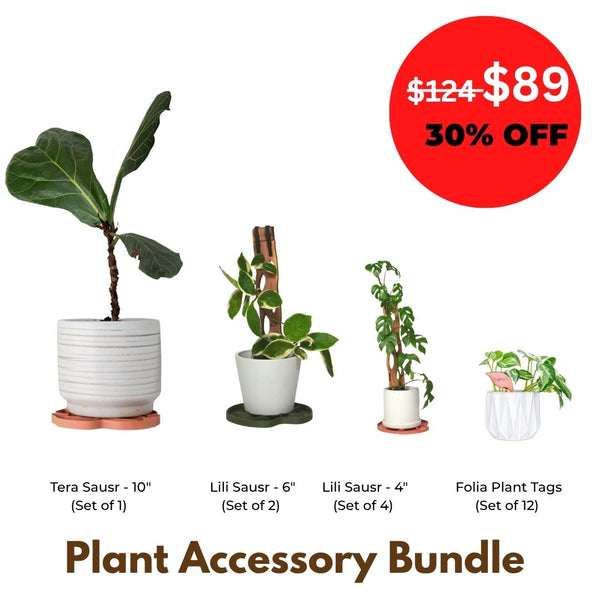 Plant Accessory Bundle