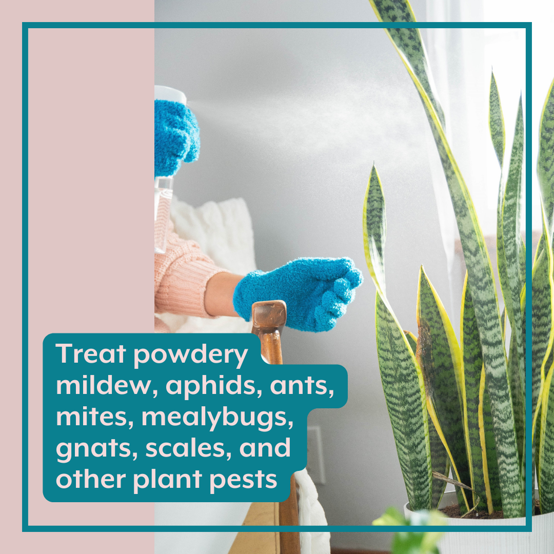 Instant Plant Food - The Complete Plant Care Bundle (Plant Food + ProBiotics + Natural Pest Control) for HOUSEPLANTS