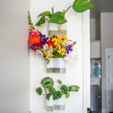 white propagation station with leaf cuttings and cut flowers