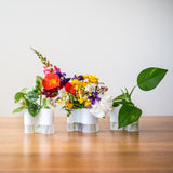 3 white vase on a wooden table with plant cuttings and flowers