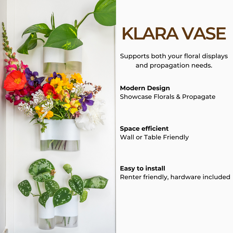 Klara Mini Vase - Wall Propagation Station - Set of 3