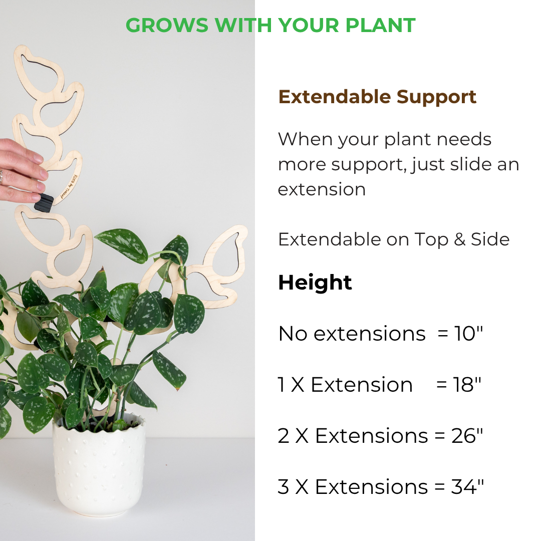 Kora plant support system with extendable extensions and plant growth information.