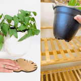 Kostr™ - Monstera Leaf-shaped  cork plant pot coaster