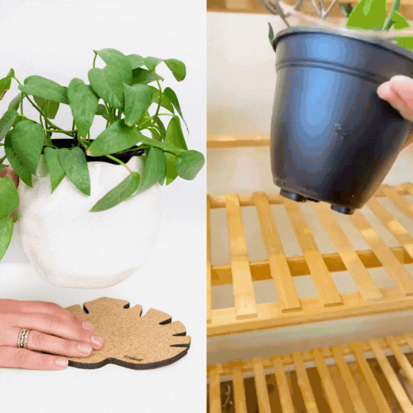 Kostr™ - Monstera Leaf-shaped  cork plant pot coaster