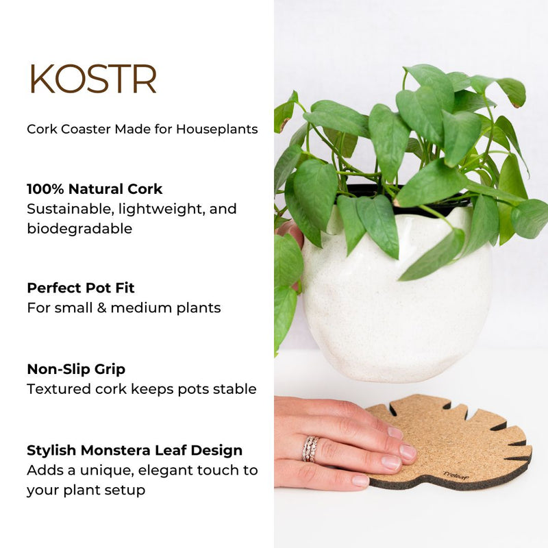monstera benefits Kostr™