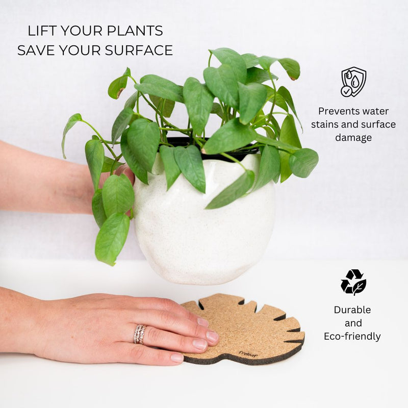 monstera plant coaster Kostr™