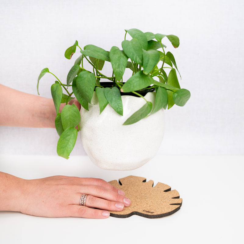 monstera leaf coaster Kostr™