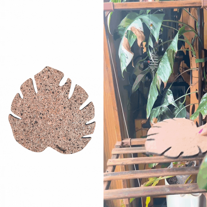 Kostr™ Monstera Leaf shaped cork plant pot coaster