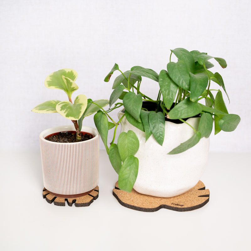 cork planter pot Kostr™