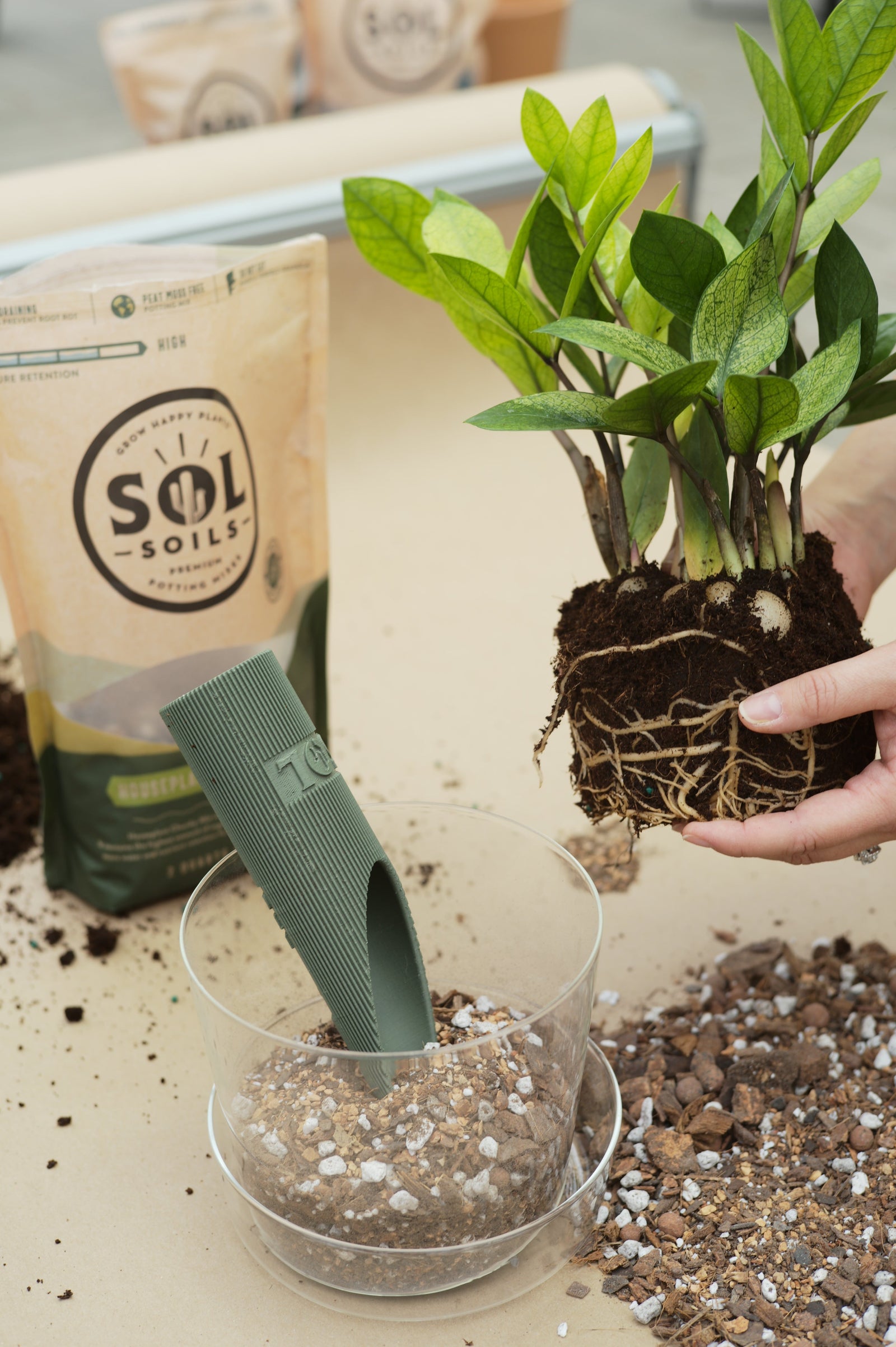chunky soil for indoor plants Sol Soils 2 Qt. Houseplant Chunky Mix