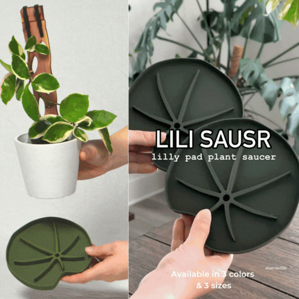 tray for indoor plants Lili™ Sausr - Lilly pad shaped Saucer - Spill tray - Drip tray for houseplants