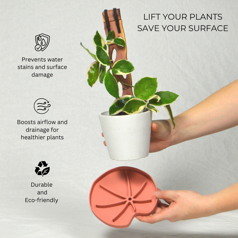 tray for potted plants Lili™ Sausr - Lilly pad shaped Saucer - Spill tray - Drip tray for houseplants